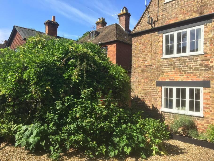 Beautiful 500 Year Old Listed Kentish Cottage Wingham Dış mekan fotoğraf