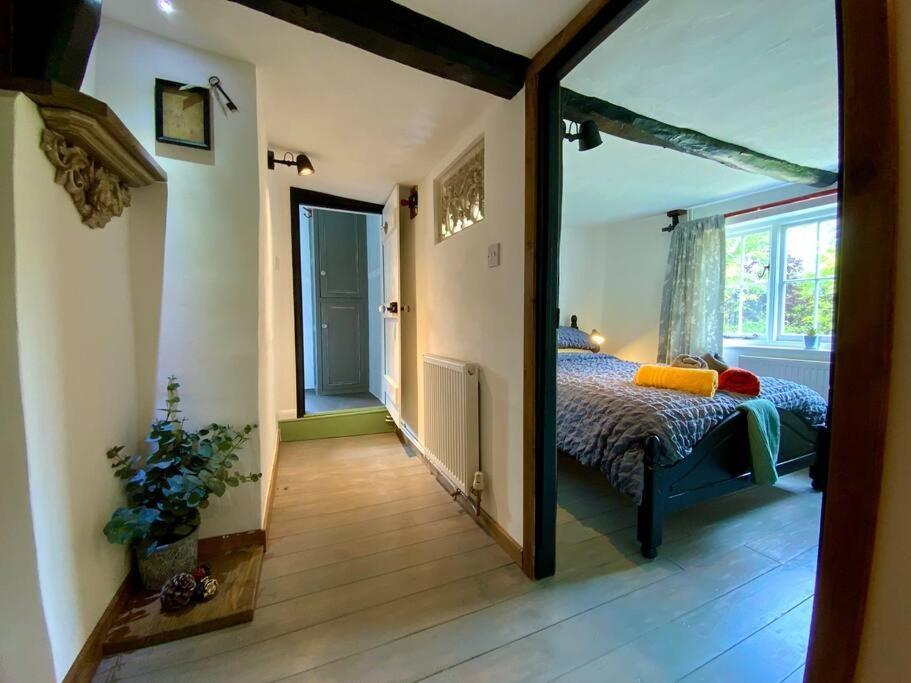 Beautiful 500 Year Old Listed Kentish Cottage Wingham Dış mekan fotoğraf